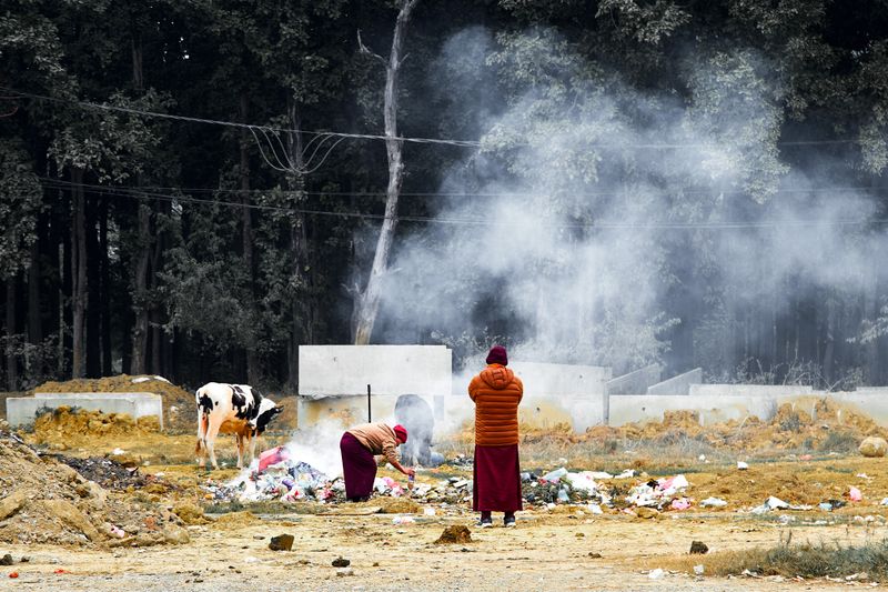 © tibhesh - Two Monks disposing and burning garbage accompanied by two stray cows in Lumbini, near Singapore Monastery.