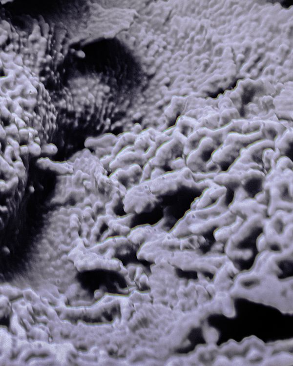 © Giorgia De Bortoli - Image from the BILE photography project