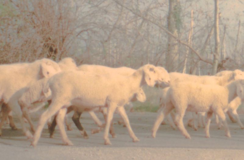 © Giorgia De Bortoli - Image from the BILE photography project