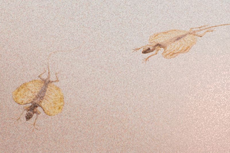 © Giorgia De Bortoli - Image from the BILE photography project