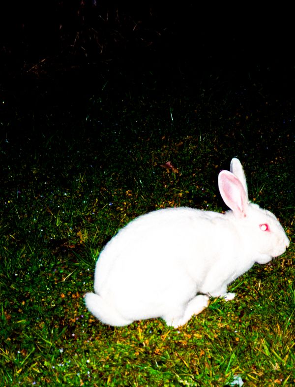 © Giorgia De Bortoli - Image from the BILE photography project