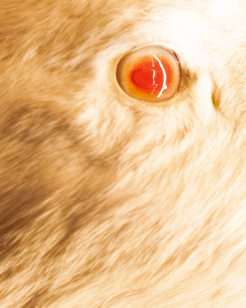 © Giorgia De Bortoli - Image from the BILE photography project