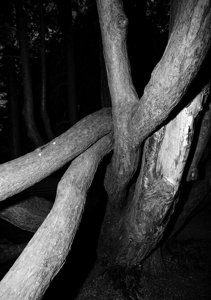 © Anne Morgenstern - Image from the MACHT LIEBE photography project