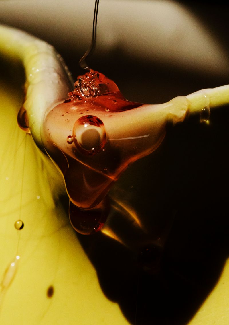 © Anne Morgenstern - Image from the Sunset Sour photography project