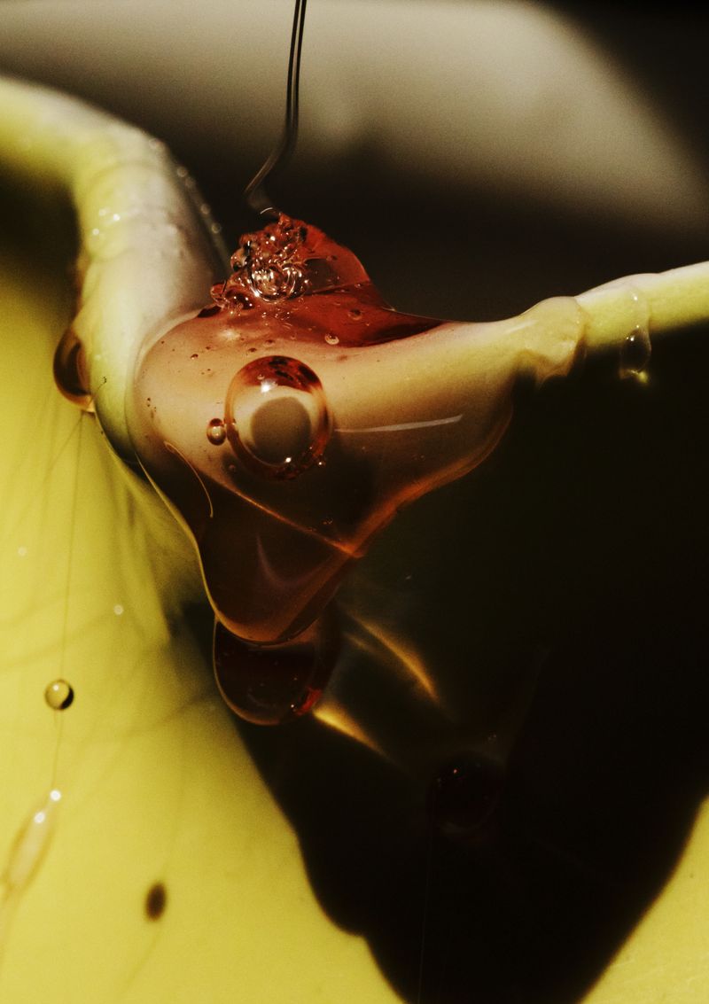 © Anne Morgenstern - Image from the Sunset Sour photography project