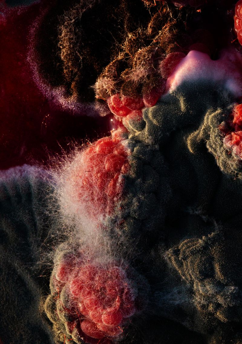 © Anne Morgenstern - Image from the Sunset Sour photography project