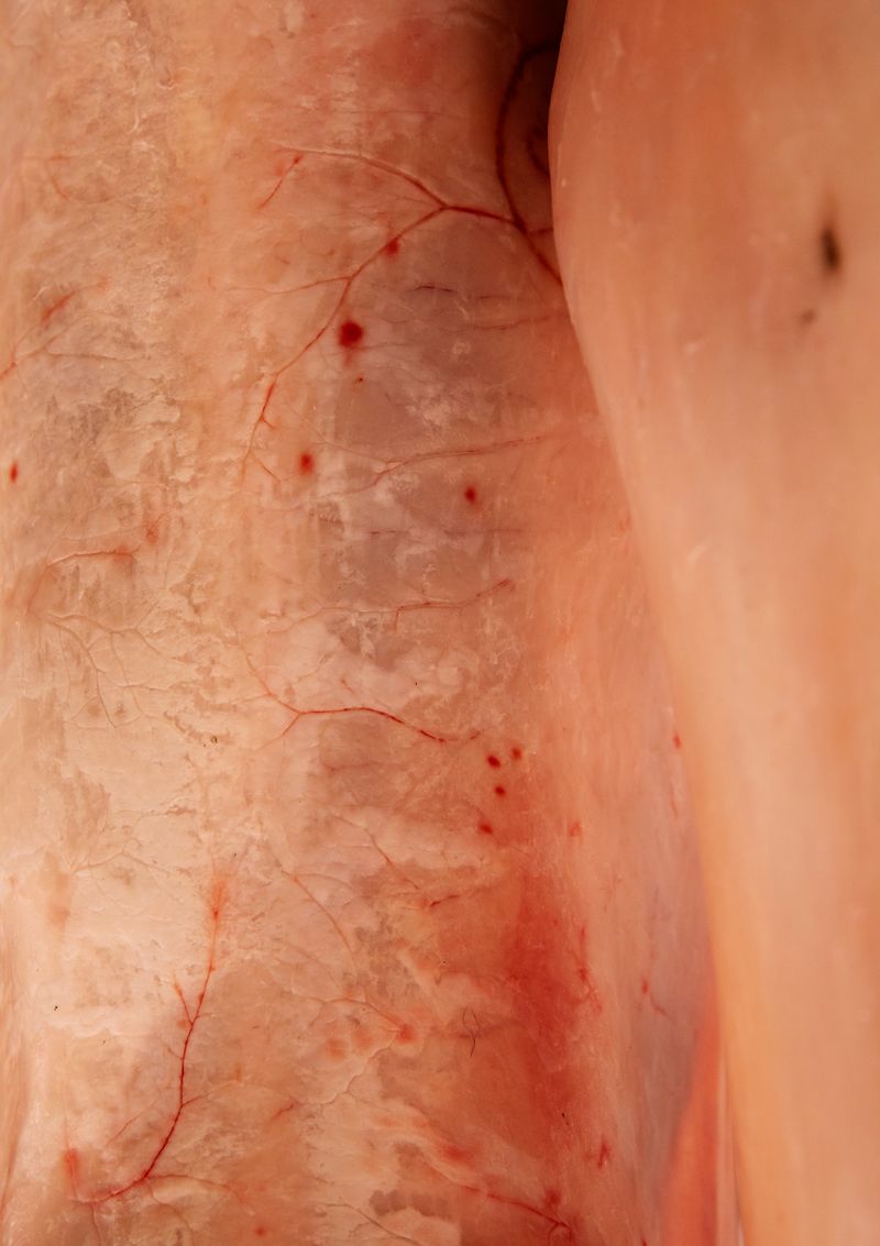 © Anne Morgenstern - Image from the Sunset Sour photography project