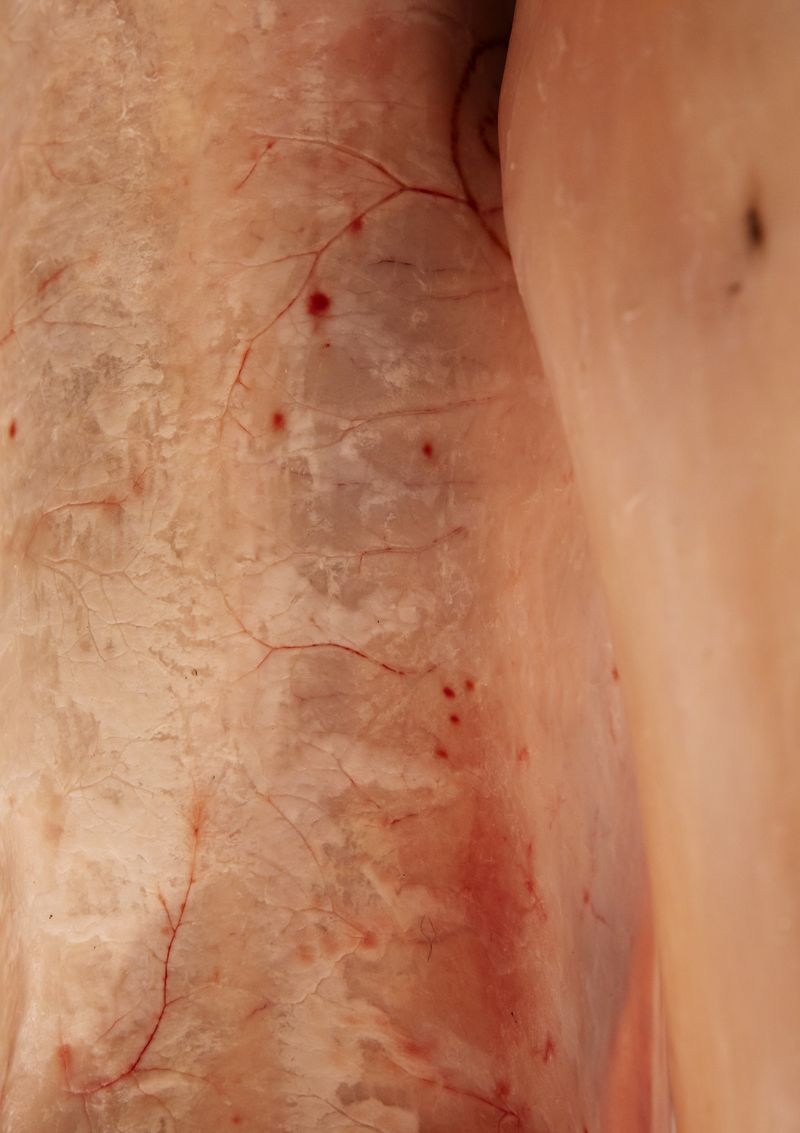 © Anne Morgenstern - Image from the Sunset Sour photography project