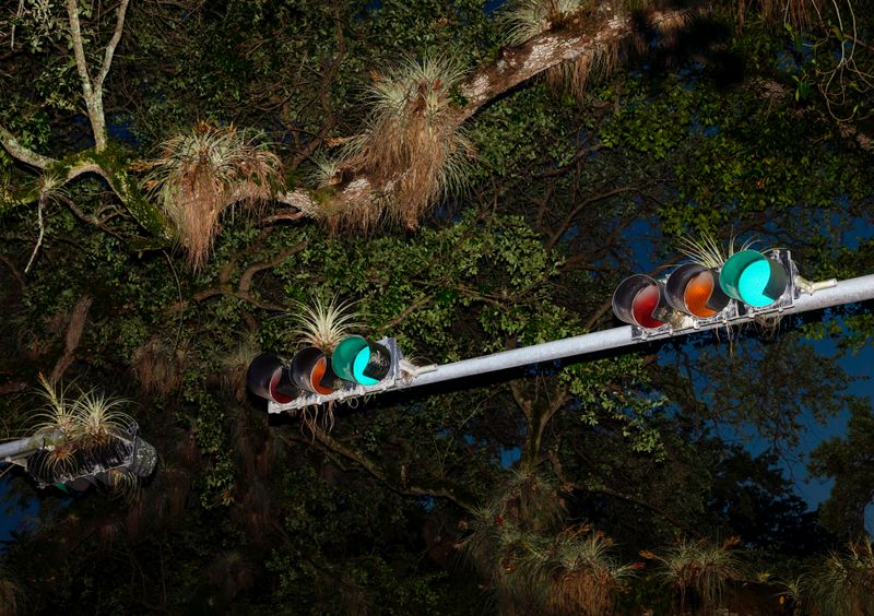 © Anne Morgenstern - Image from the Sunset Sour photography project