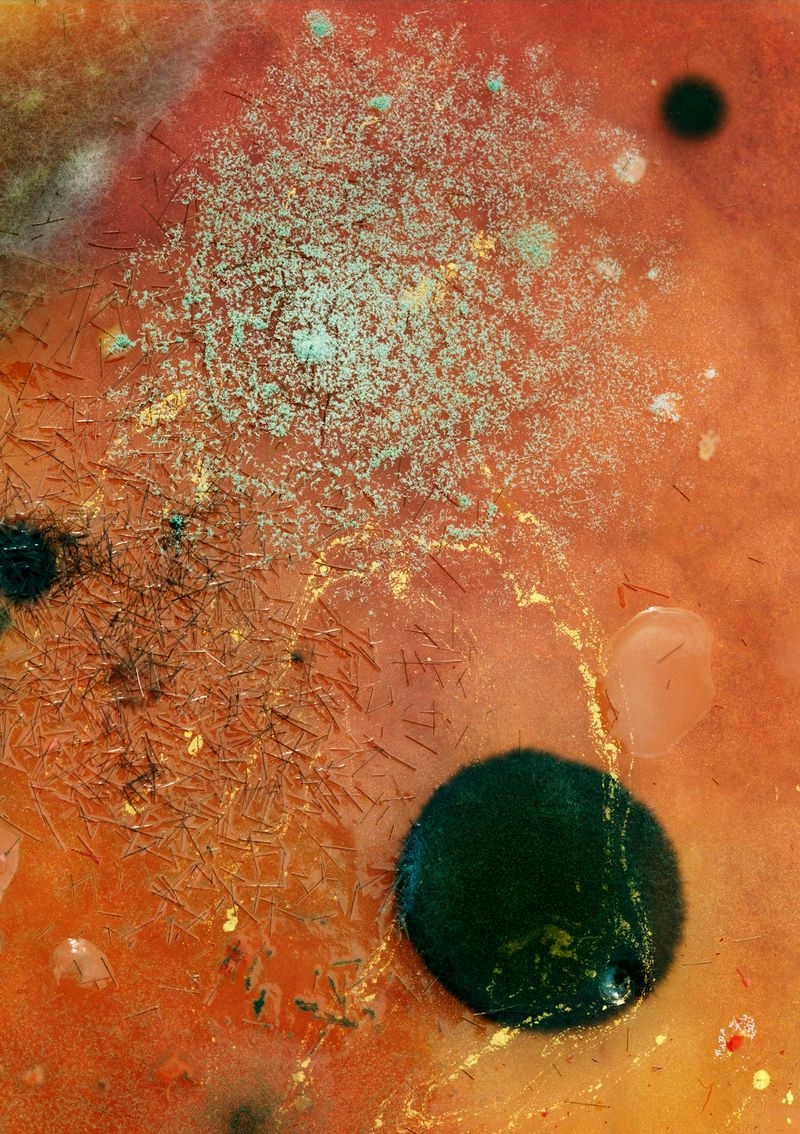 © Anne Morgenstern - Image from the Sunset Sour photography project
