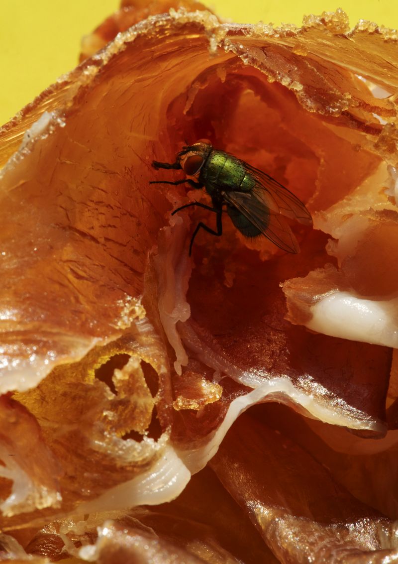 © Anne Morgenstern - Image from the Sunset Sour photography project