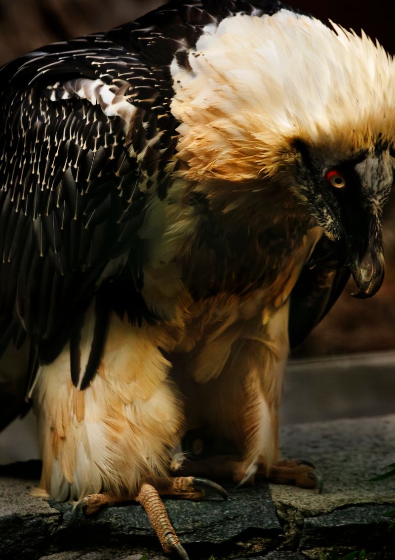 © Anne Morgenstern - Image from the Sunset Sour photography project