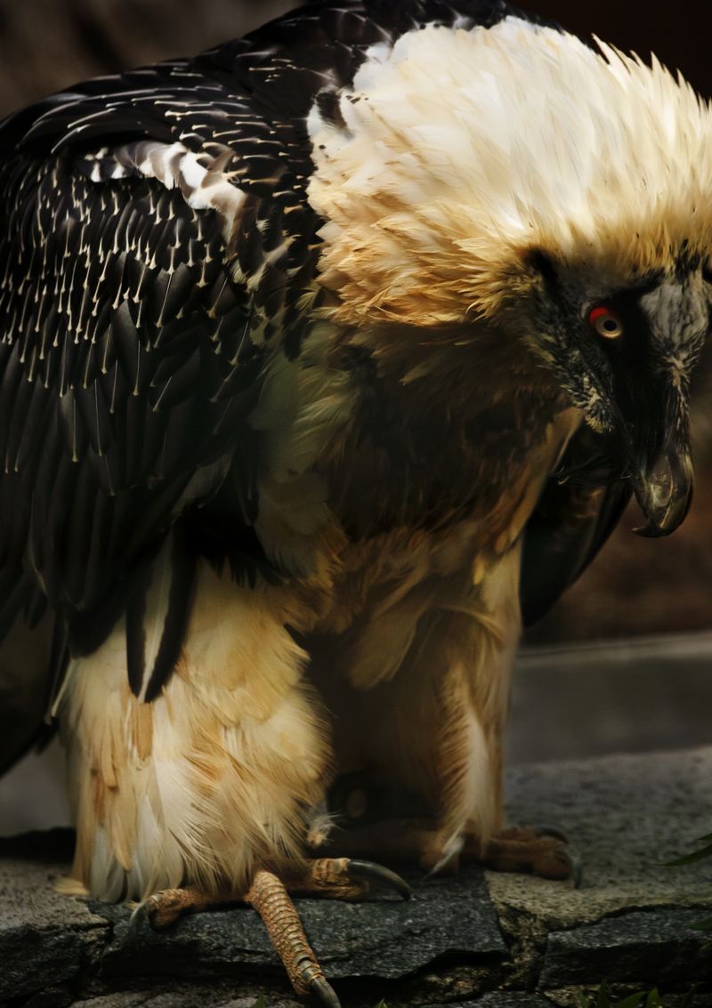 © Anne Morgenstern - Image from the Sunset Sour photography project