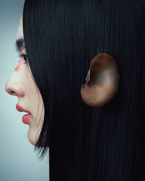 © Pimm - SOUND RECEPTION: Dive into the realm of "The ear," reminiscent of the delicate "Wood Ear Mushroom."