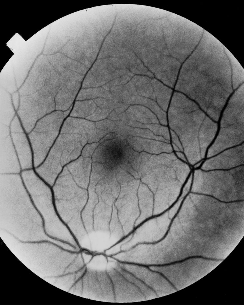 © Riccardo Svelto - Image from the La Cattedrale photography project