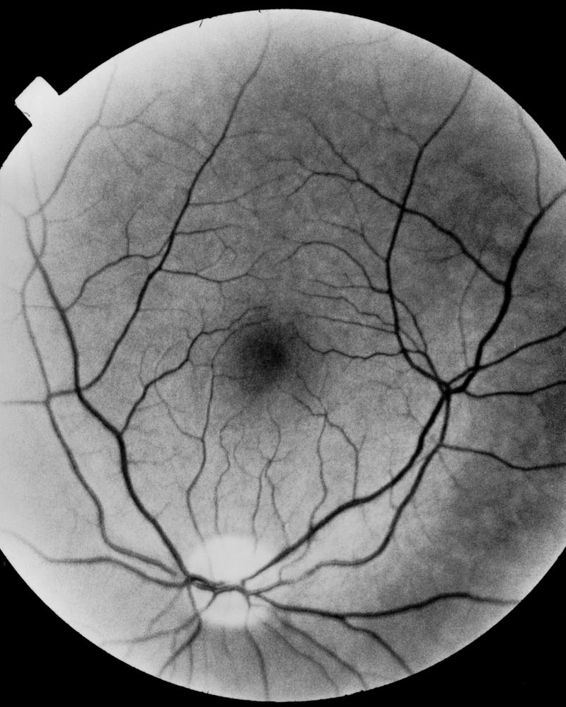 © Riccardo Svelto - Image from the La Cattedrale photography project