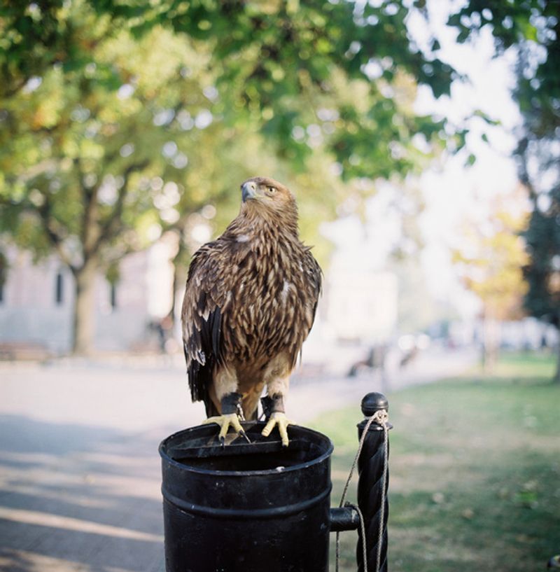© Vita Litvak - Image from the Transnistria photography project