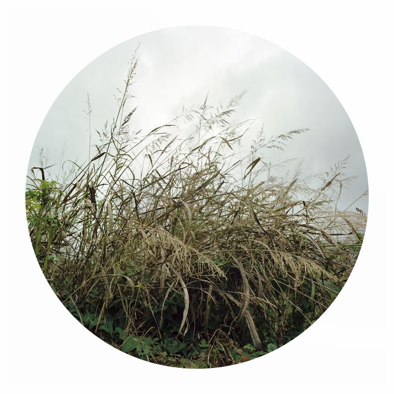 © Vita Litvak - Image from the Evidence of Unknown Markers in Time photography project