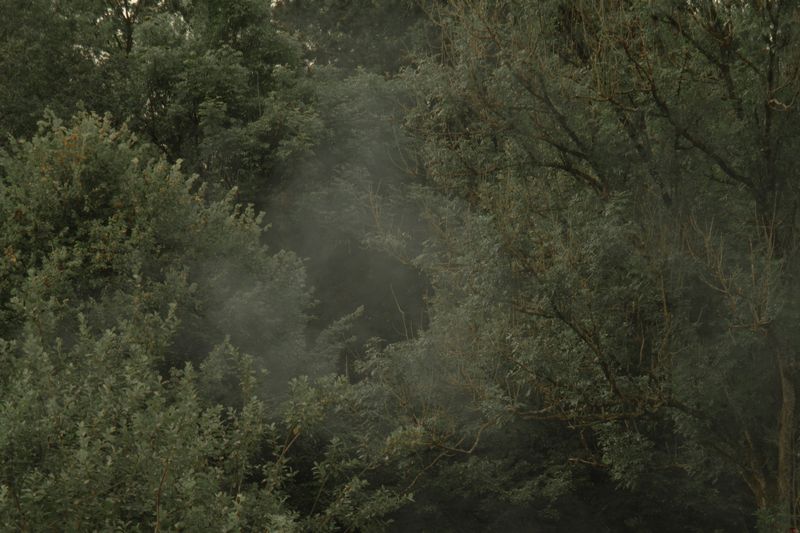 © Sam Lomprez - Image from the The Hens no Longer Lay photography project