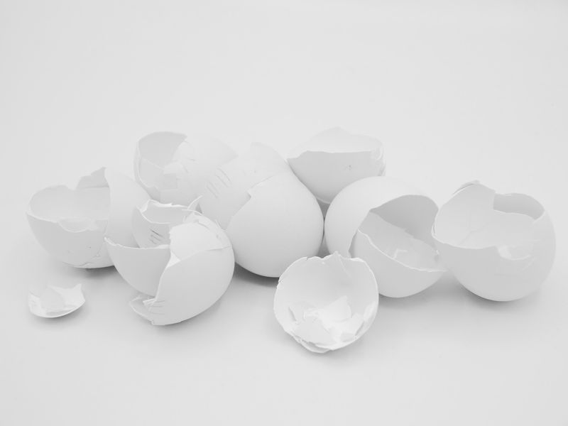 © Sam Lomprez - Image from the The Hens no Longer Lay photography project