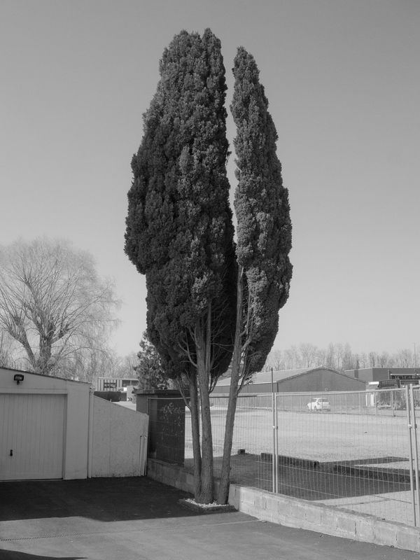 © Sam Lomprez - Image from the The Hens no Longer Lay photography project