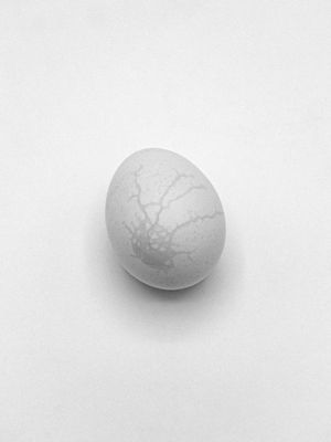 The Hens no Longer Lay