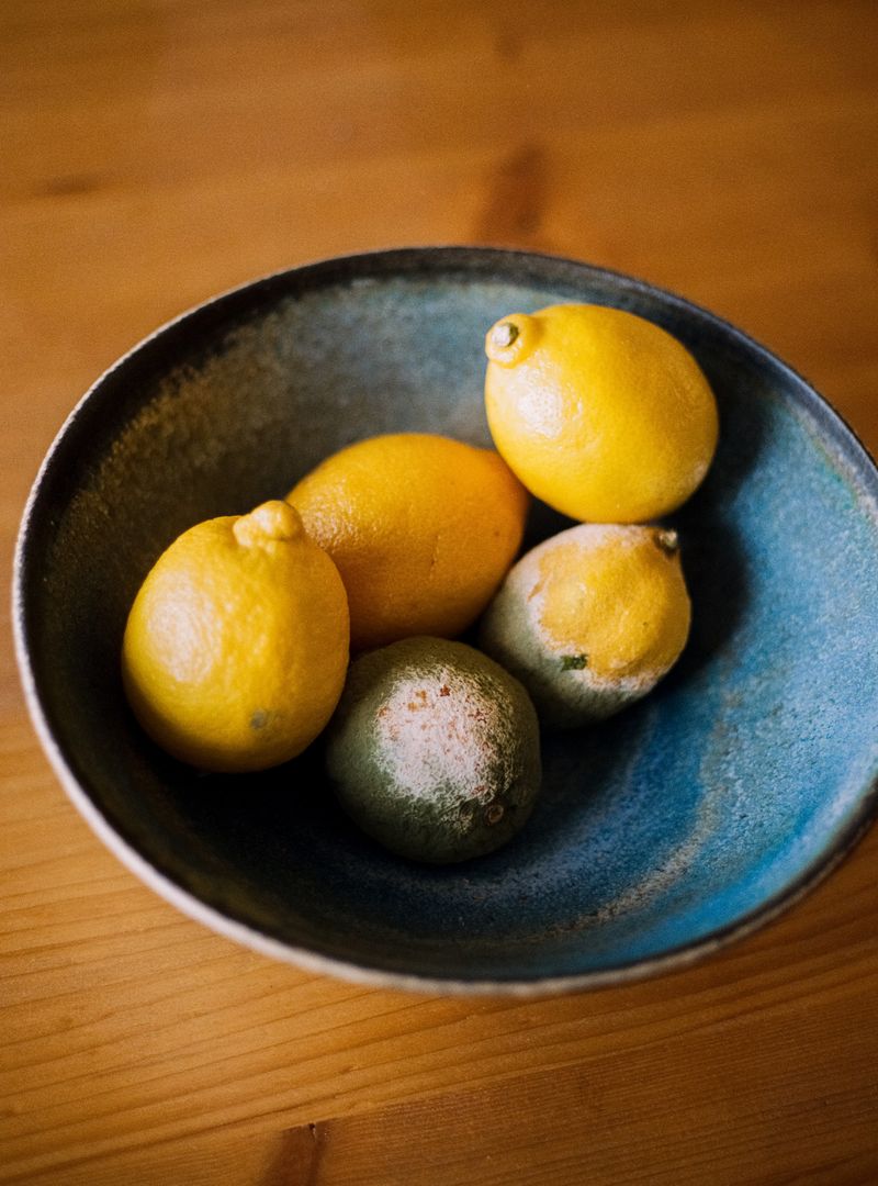 Image from a project on PhMuseum