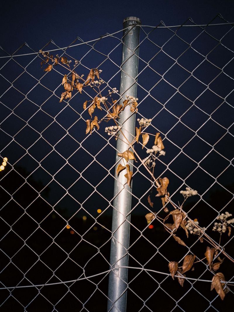 Image from a project on PhMuseum