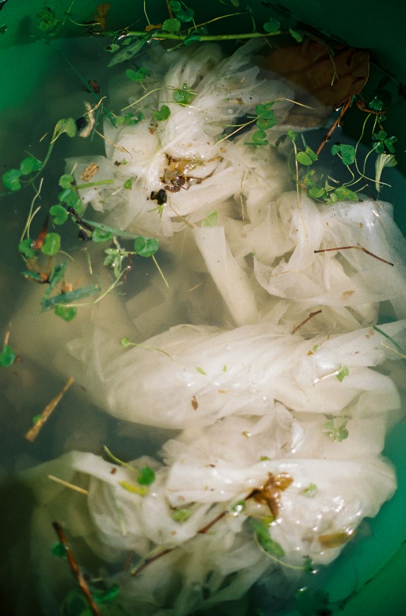 Image from a project on PhMuseum