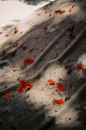 Dust scales (working title)