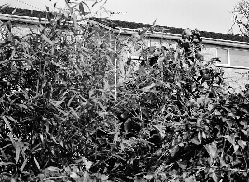© Lucie Armstrong - Image from the Repossessed photography project