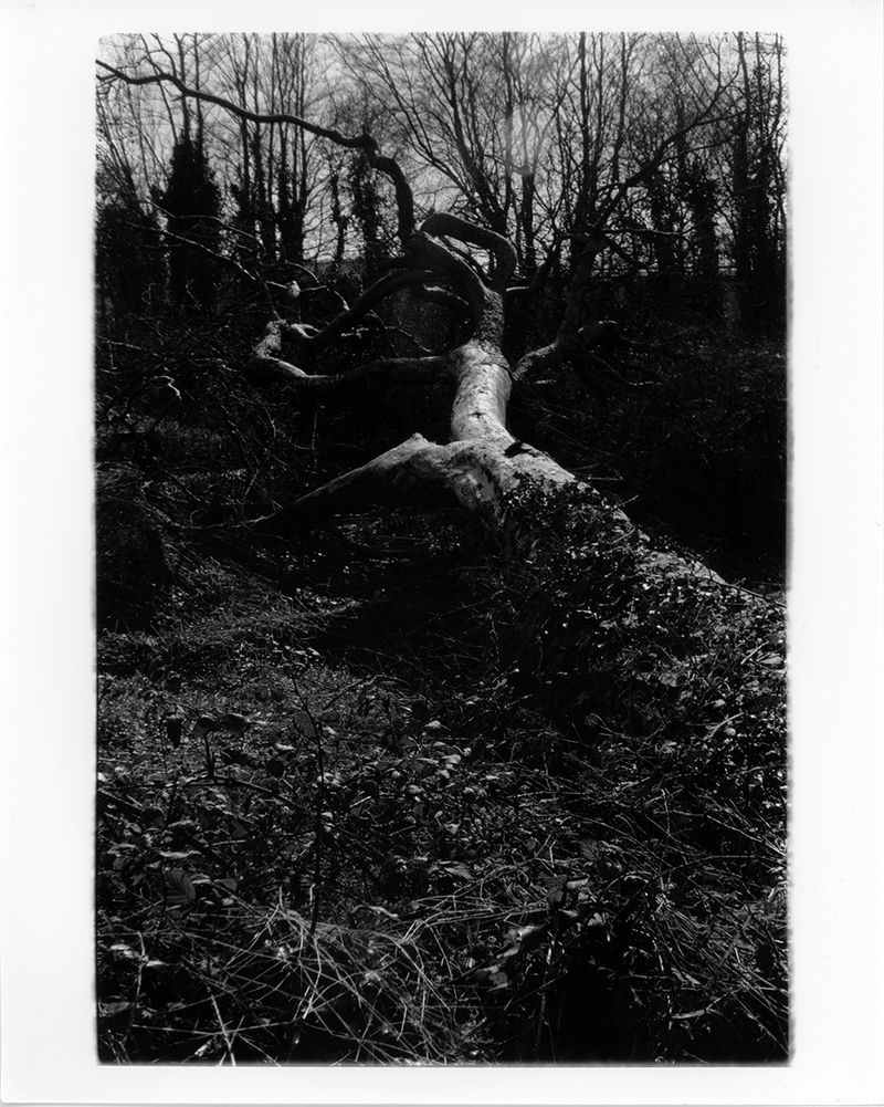 © Lucie Armstrong - Image from the Repossessed photography project