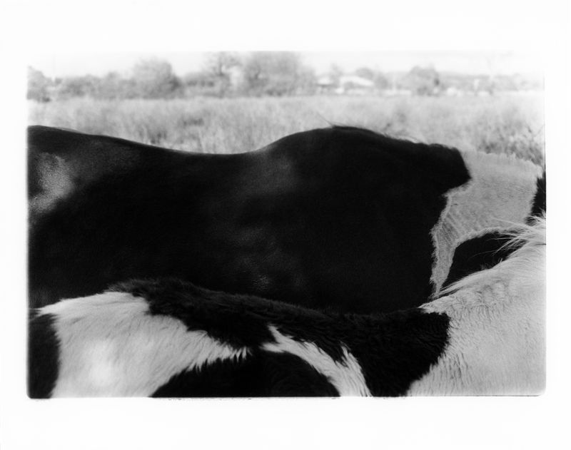 © Lucie Armstrong - Image from the Repossessed photography project