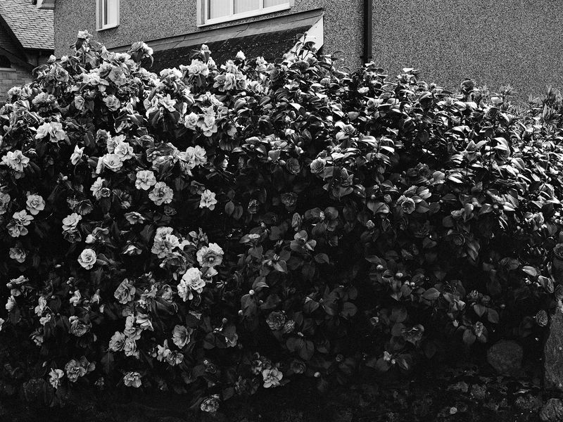 © Lucie Armstrong - Image from the Repossessed photography project