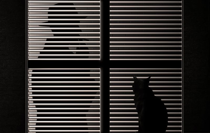 © Jack Savage - The Silent Ultimatum