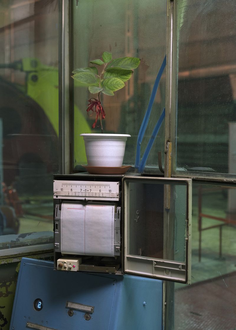 © Mika Sperling - Image from the Before You, Above the Circle photography project