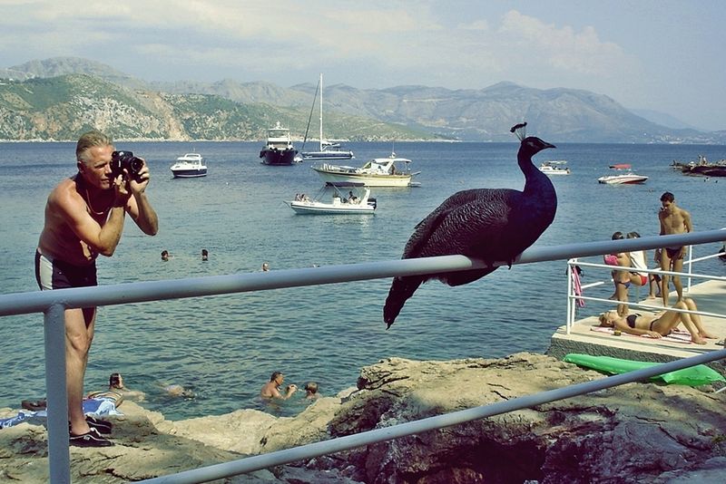 © Stefanos Chronis - coastal city of Dubrovnik, Croatia