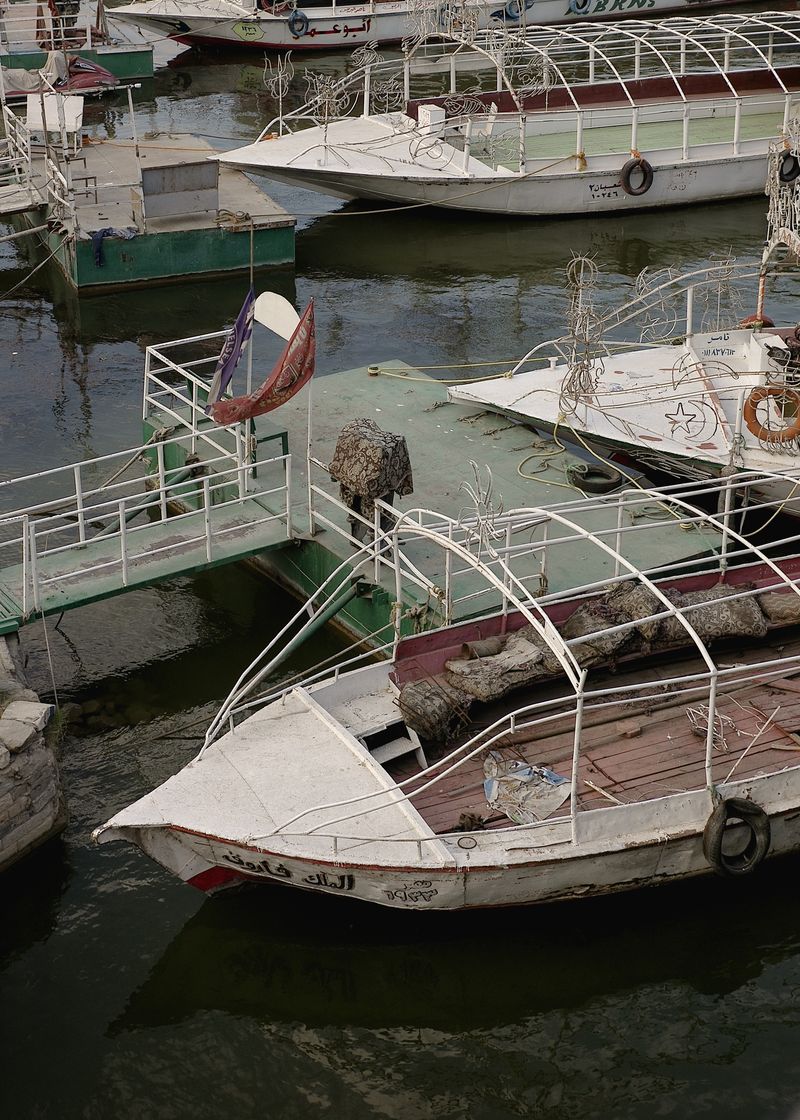 © Mahmoud Khattab - Image from the When Birds Sang Again photography project