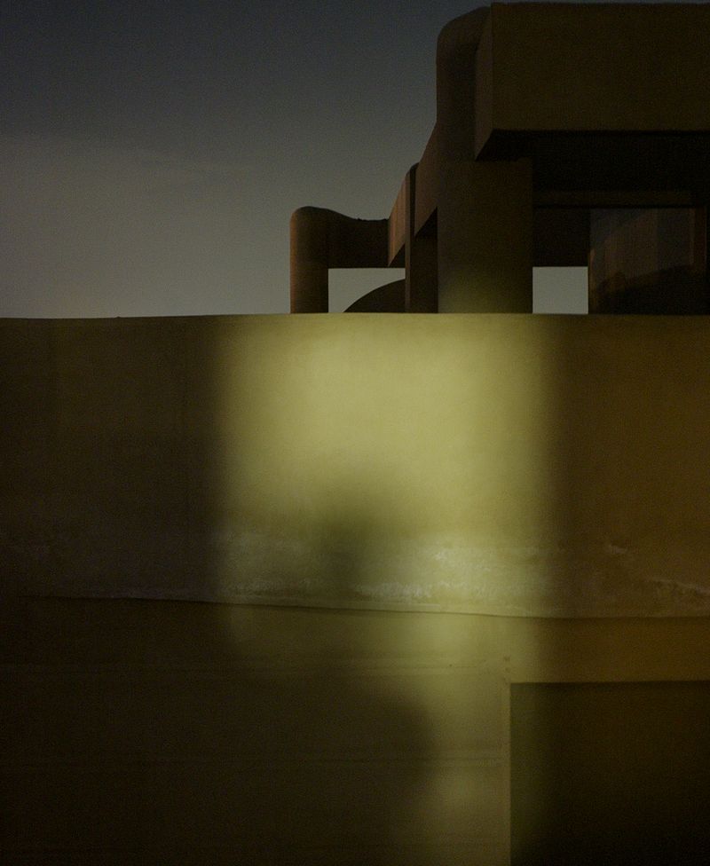 © Mahmoud Khattab - Image from the When Birds Sang Again photography project