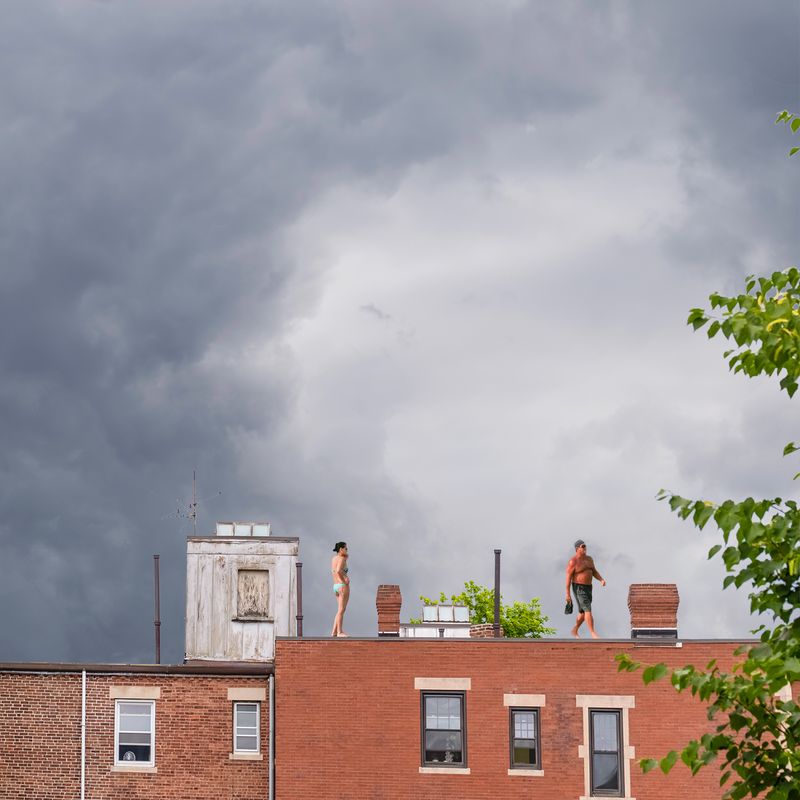 © Diana Cheren Nygren - She Saw a Tan Man