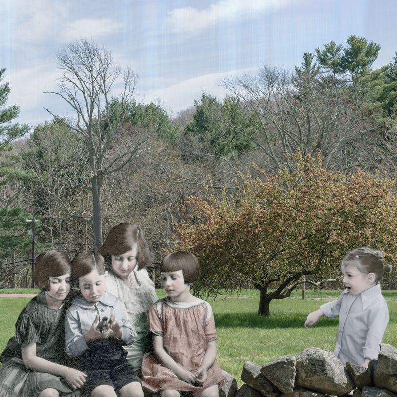 © Diana Cheren Nygren - Coveting