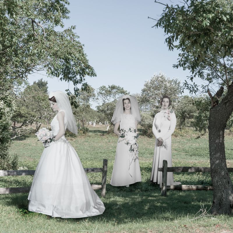 © Diana Cheren Nygren - Matriarchs