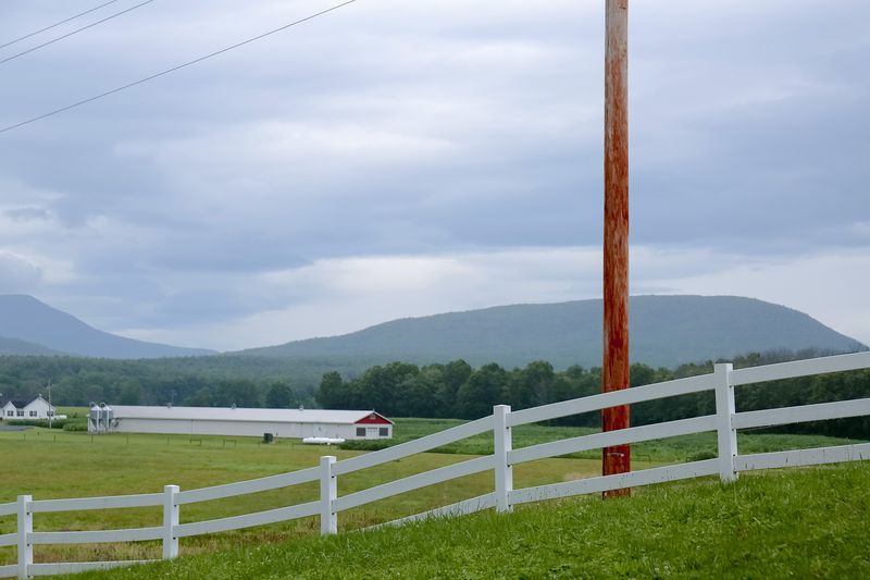 © Diana Cheren Nygren - Over Hill and Dale