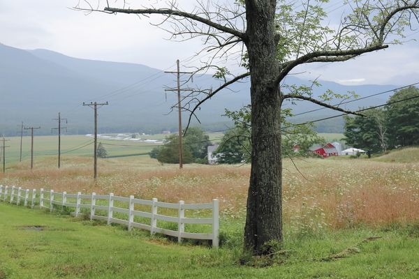 © Diana Cheren Nygren - Idyll