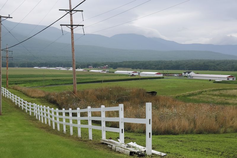 © Diana Cheren Nygren - Behind the White Picket Fence 2