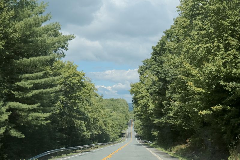 © Diana Cheren Nygren - Road to Nowhere