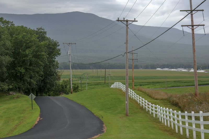 © Diana Cheren Nygren - White Picket Fence