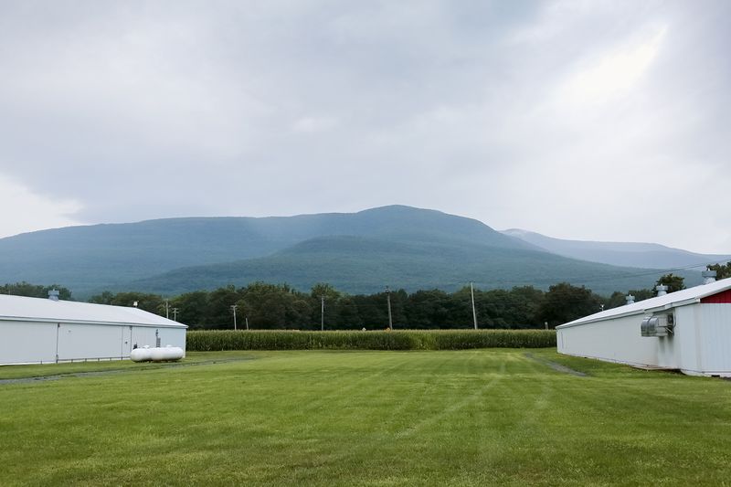 © Diana Cheren Nygren - I can See For Miles