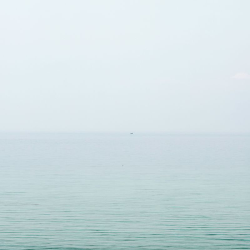 © Diana Cheren Nygren - Bird Landing