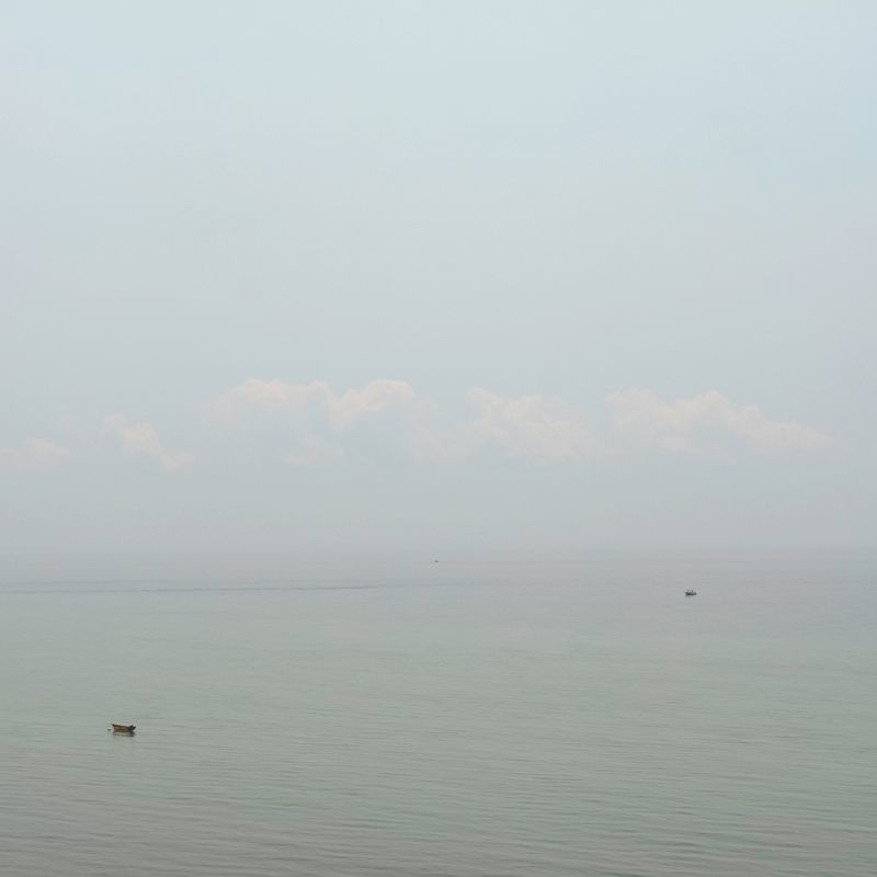 © Diana Cheren Nygren - The Race